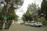 BOY_7689