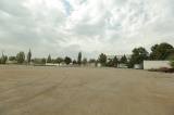 BOY_7651